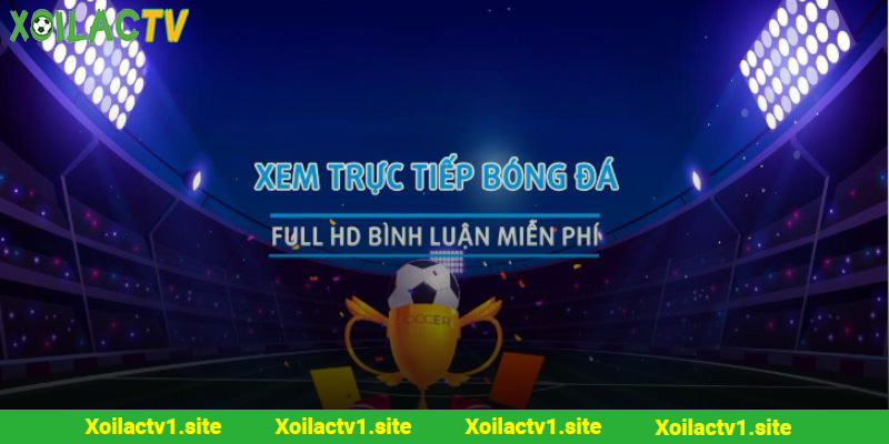 Hấp dẫn với những lời bình luận của hướng dẫn