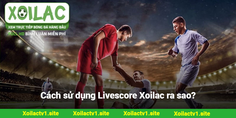 Cách sử dụng Livescore Xoilac ra sao?