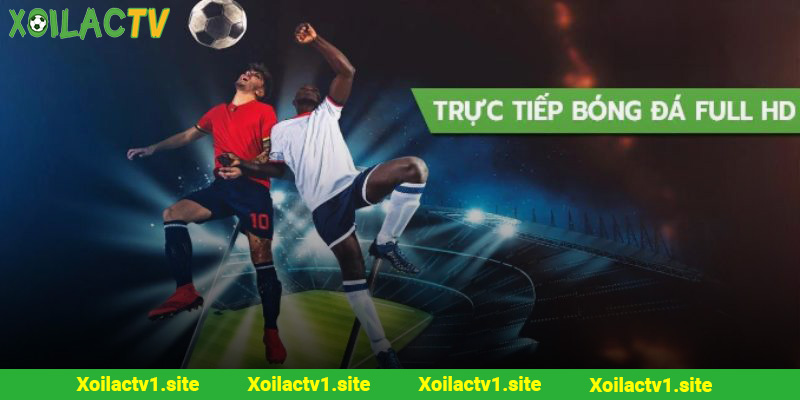 Tổng hợp tất cả các nguồn tin tức quan trọng về đội bóng