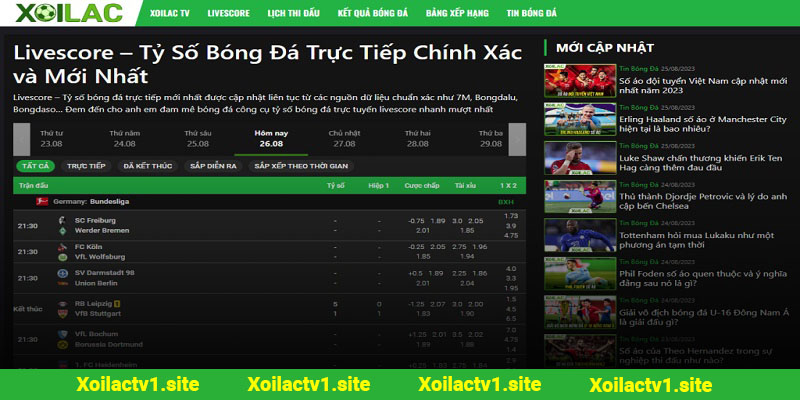 Giới thiệu chung về Livescore Xoilac