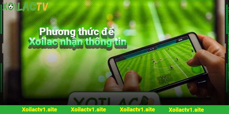 Phương thức để Xoilac nhận thông tin