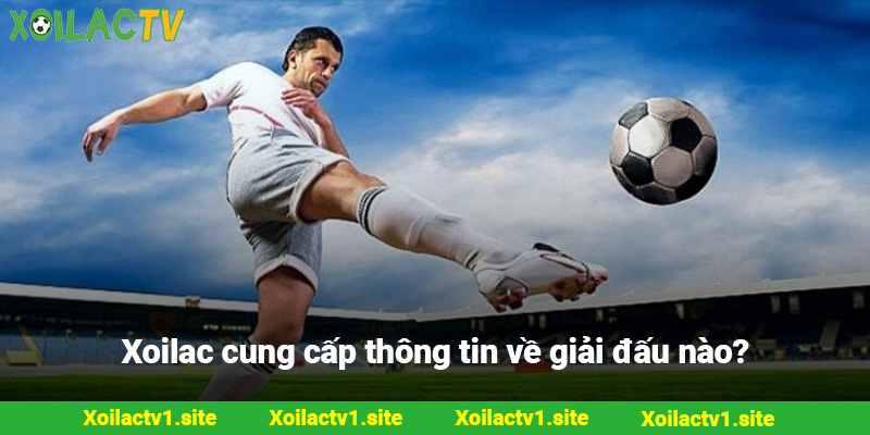 Lịch trực tiếp Xoilac cung cấp thông tin về giải đấu nào?
