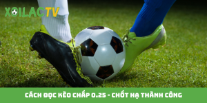 Cách đọc kèo chấp 0.25