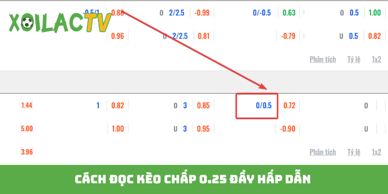Cách đọc kèo chấp 0.25 đầy hấp dẫn