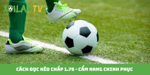 Cách đọc kèo chấp 1.75