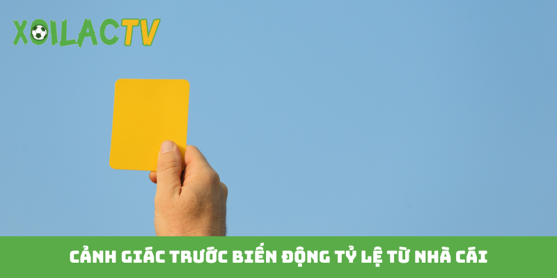 Cảnh giác trước biến động tỷ lệ từ nhà cái