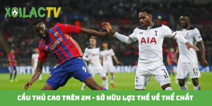 Cầu thủ cao trên 2m