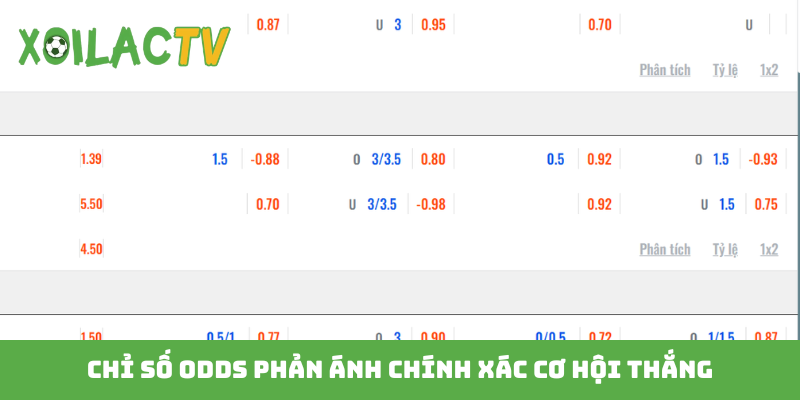 Chỉ số odds phản ánh chính xác cơ hội thắng