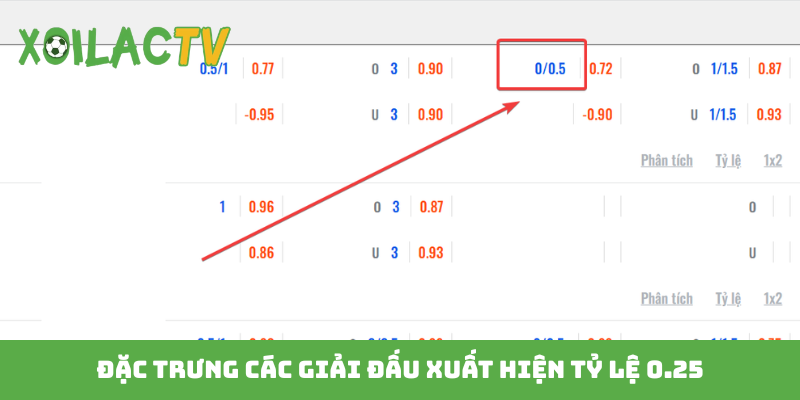 Đặc trưng các giải đấu xuất hiện tỷ lệ 0.25