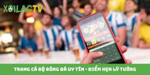 Trang cá độ bóng đá uy tín