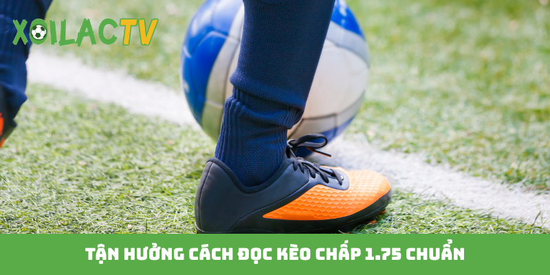 Tận hưởng cách đọc kèo chấp 1.75 chuẩn
