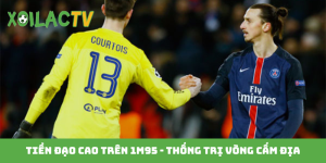 Tiền đạo cao trên 1m95