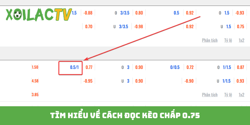 Tìm hiểu về cách đọc kèo chấp 0.75